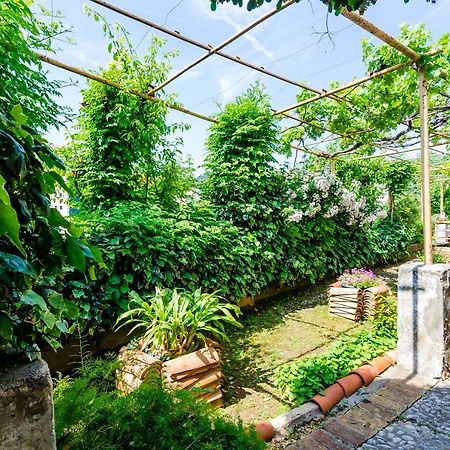 Guest House Ivana Dubrovnik Dış mekan fotoğraf
