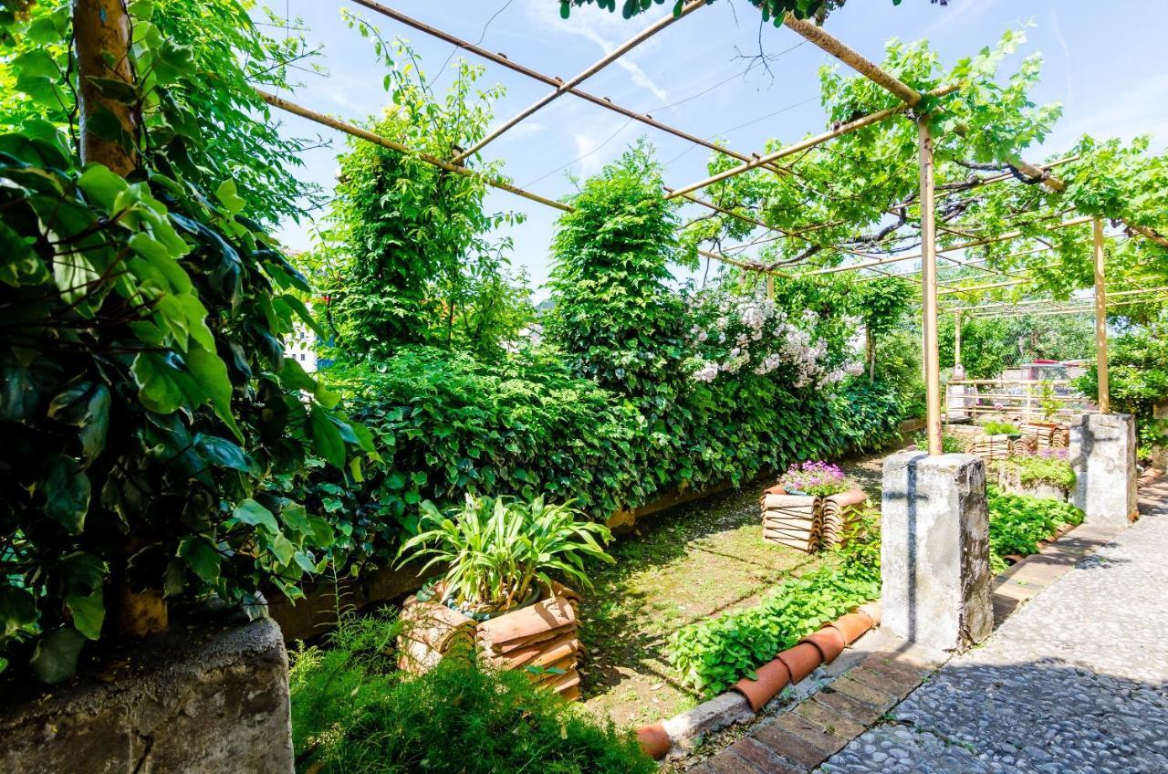 Guest House Ivana Dubrovnik Dış mekan fotoğraf