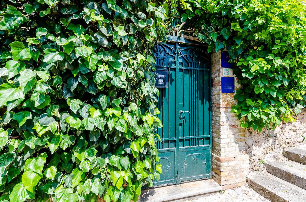 Guest House Ivana Dubrovnik Dış mekan fotoğraf